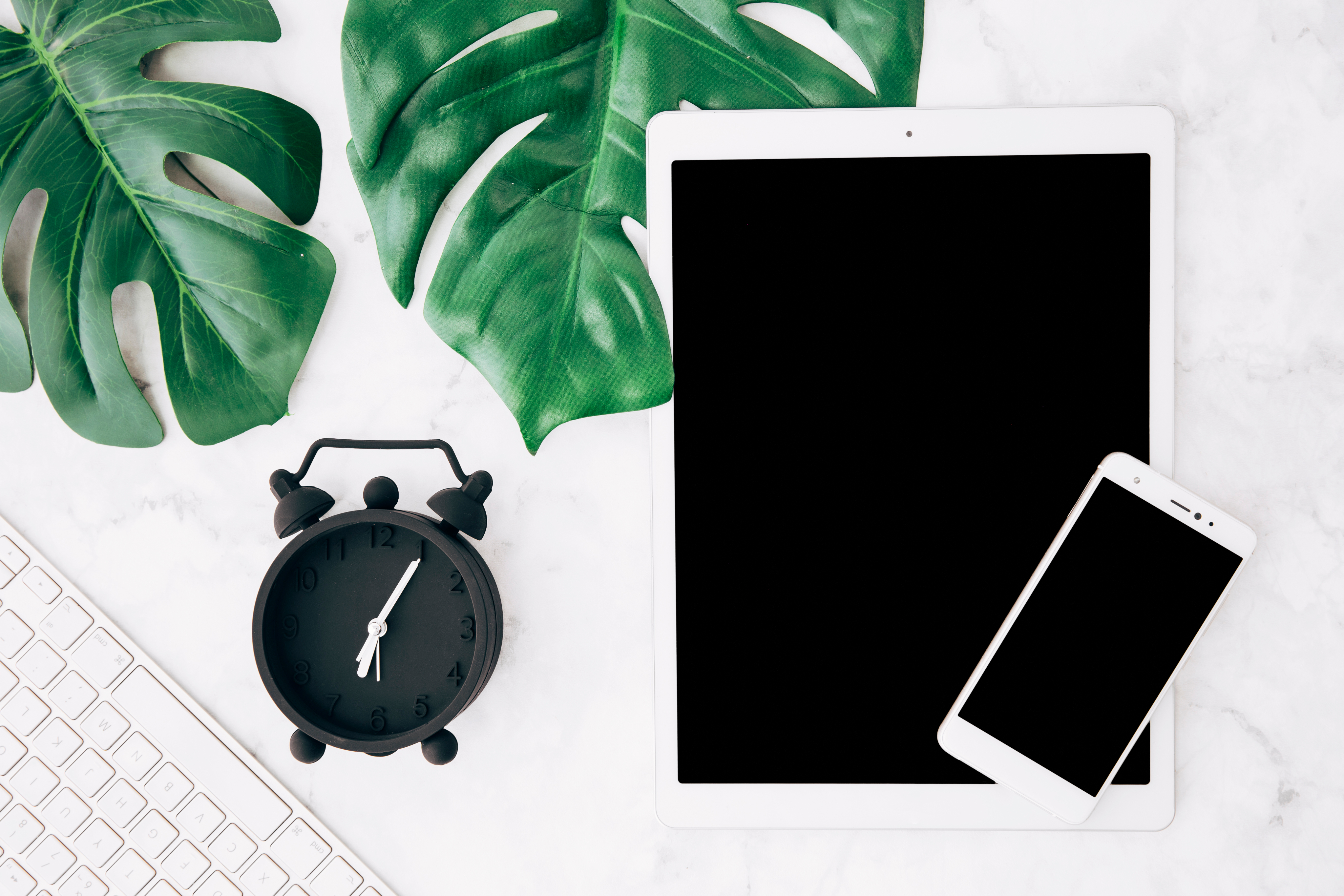 Desktop setup with monstera leaves