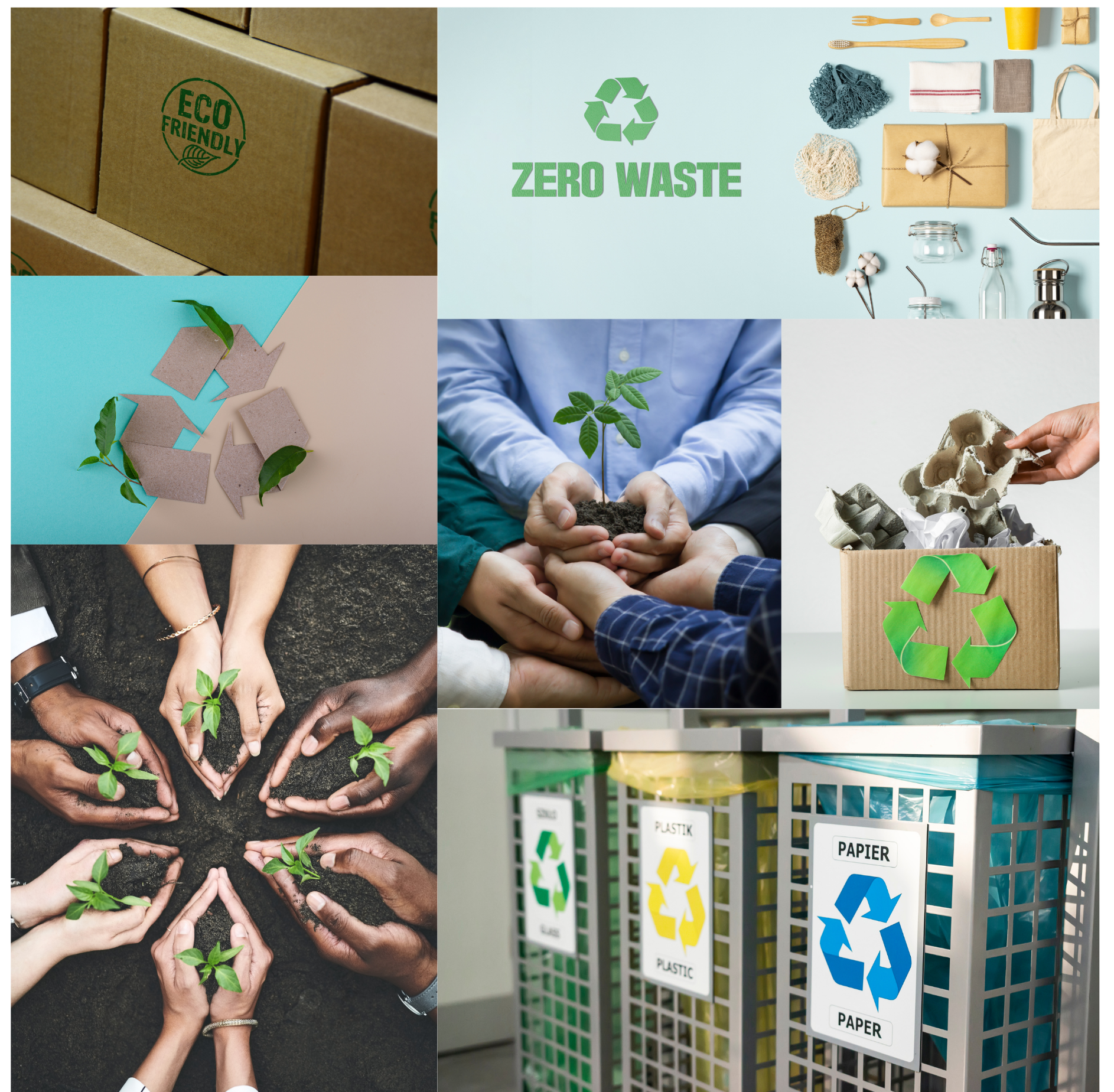 Collage of sustainable activities